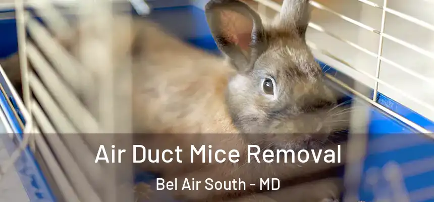  Air Duct Mice Removal Bel Air South - MD