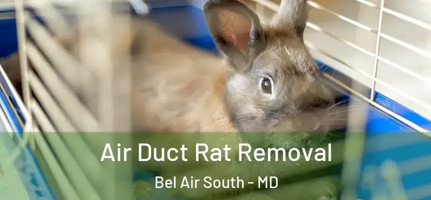 Air Duct Rat Removal Bel Air South - MD