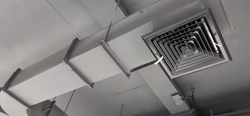 Restorative Allergy Relief Vent Cleaning – Coil, Blower & Housing Detail in Bel Air South