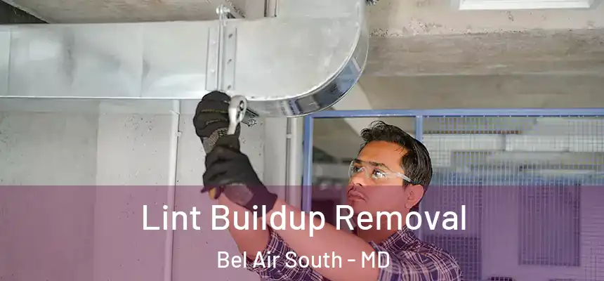  Lint Buildup Removal Bel Air South - MD