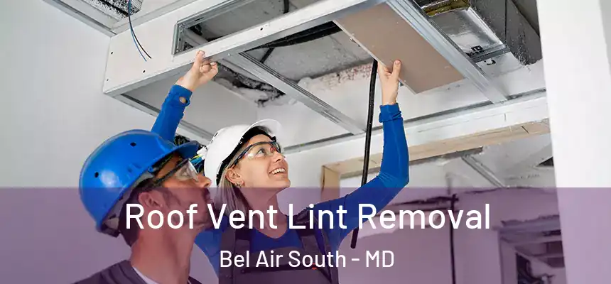  Roof Vent Lint Removal Bel Air South - MD